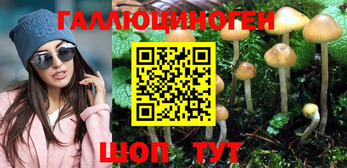 Псилоцибиновые грибы Psilocybine cubensis Ангарск